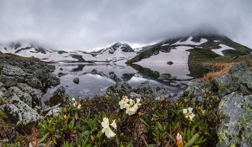 Под покрывалом облаков
