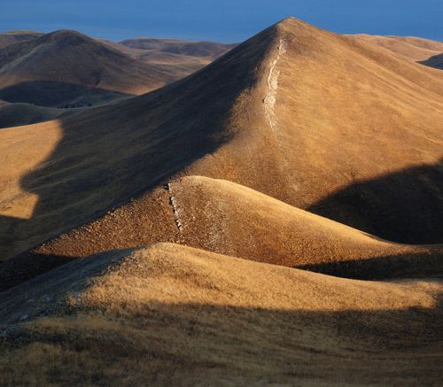 Золотистый бархат утра