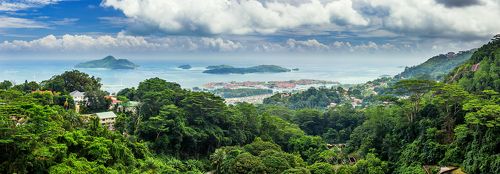 Tropical Island