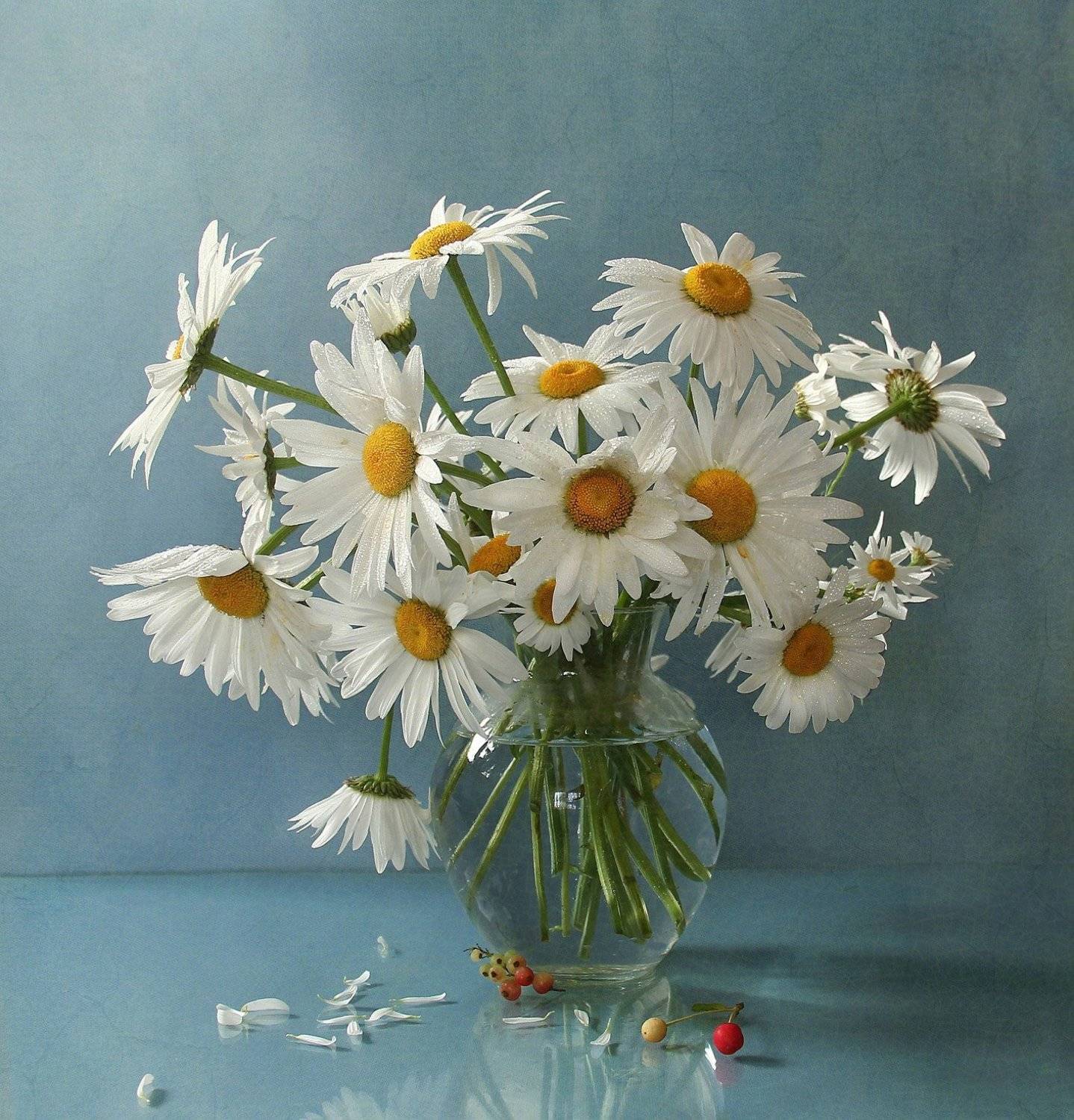 натюрморт, цветы, марина филатова, лето, ромашки, Марина Филатова