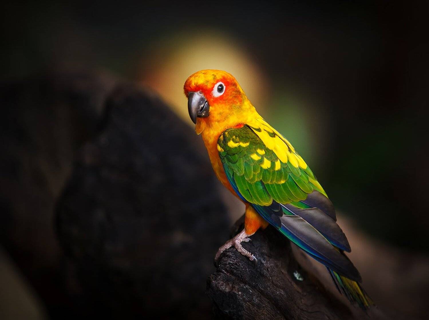 , Андрей Хитайленко