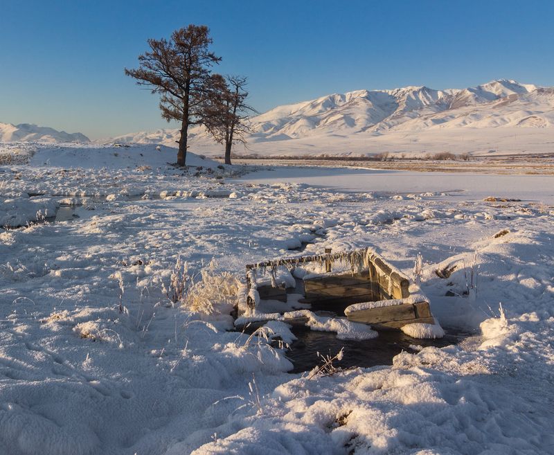 Зимняя зарисовка... фото превью