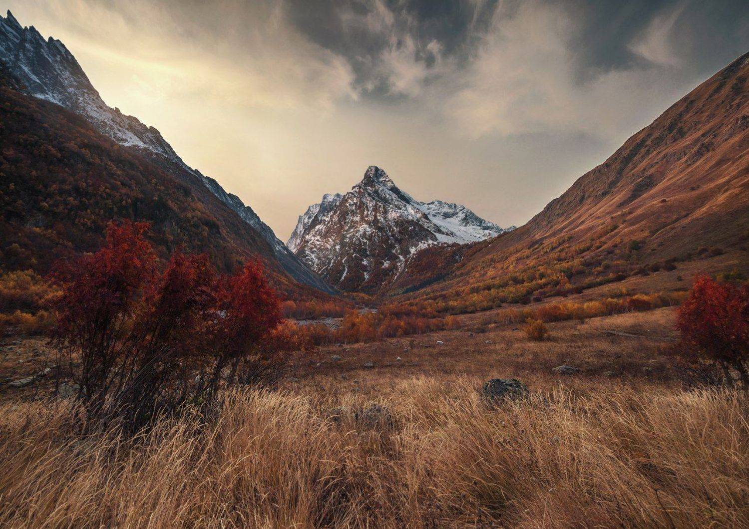 , Алексей Дранговский