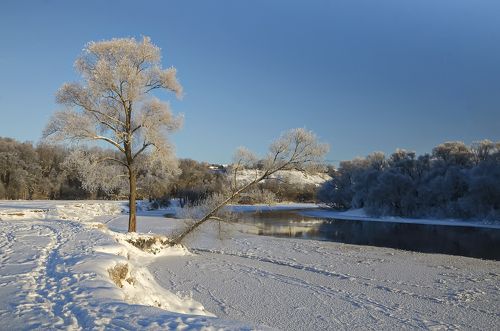 Морозное утро