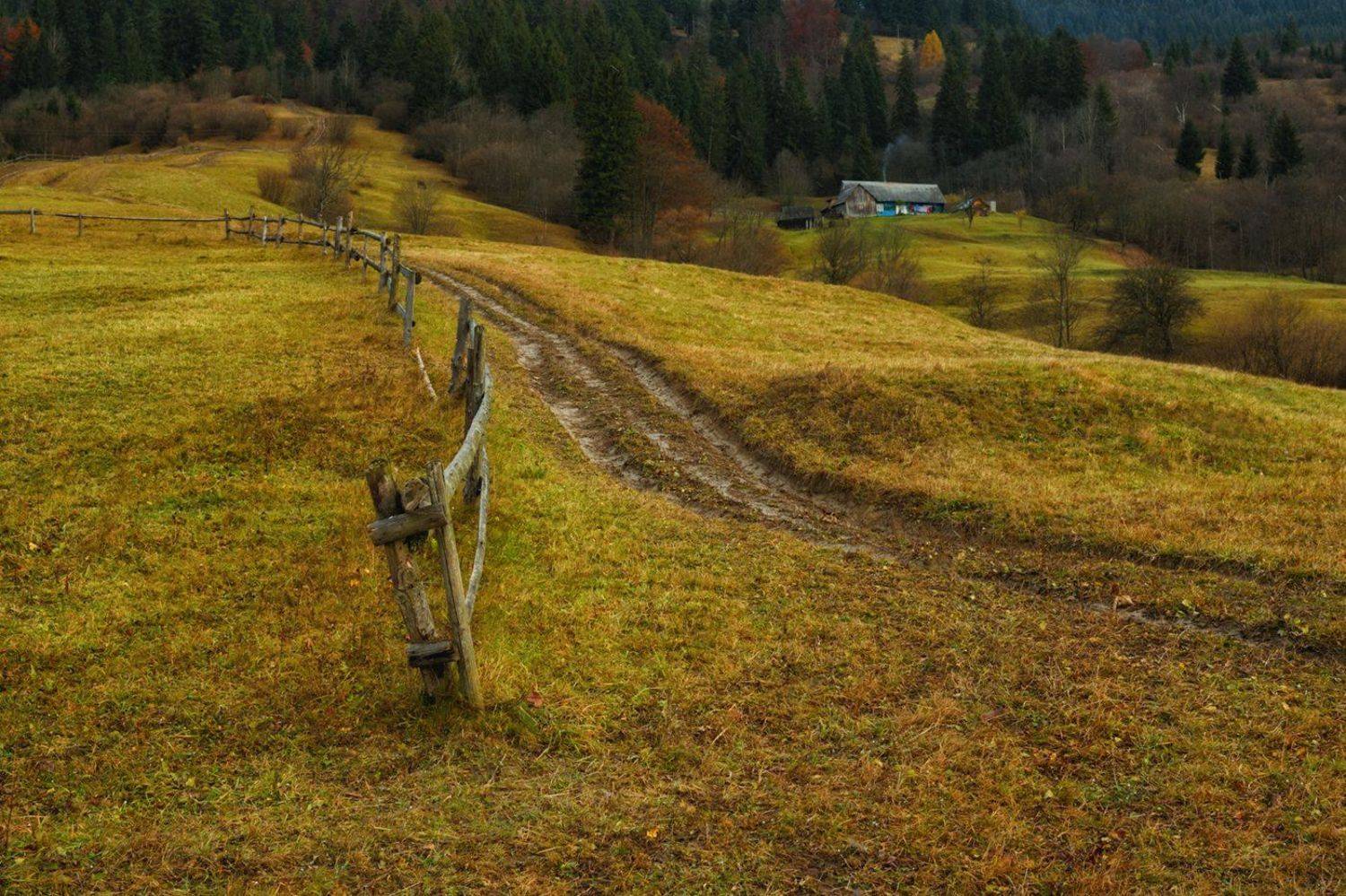 горы, домик, осень, закарпатье, Вьюшкин Игорь