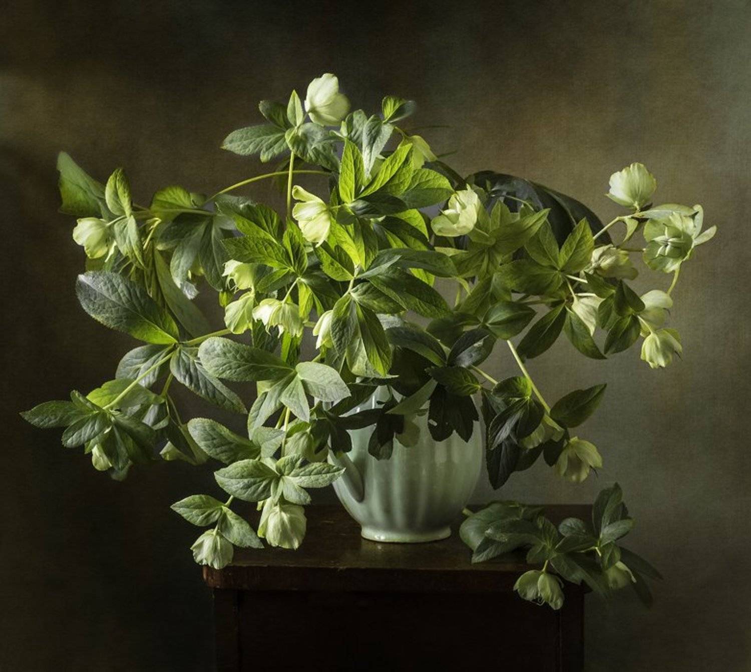 натюрморт, цветы, still life, Оля