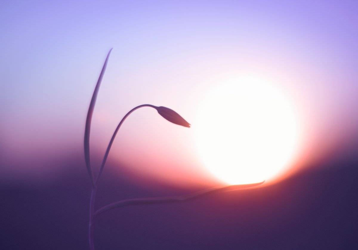 , Татьяна Аверина