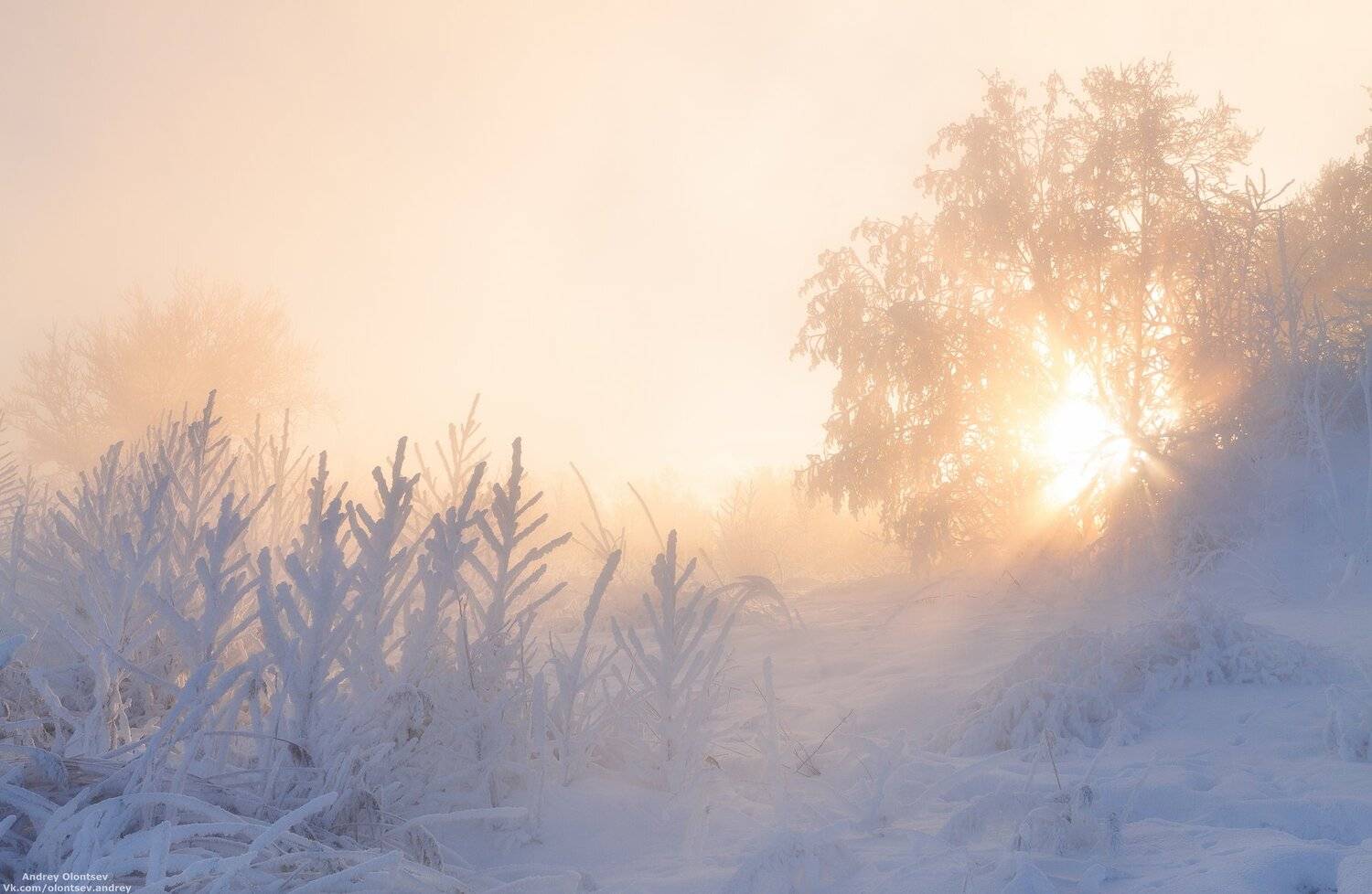 дубна, наукоград, подмосковье, россия, пейзаж, пейзажи, вода, солнце, отражение, рассвет, красота, природа, весна, погода, canon dubna, naukograd, moscow, russia, landscape, water, sun, reflection, dawn, beauty, nature, spring, weather, Андрей Олонцев
