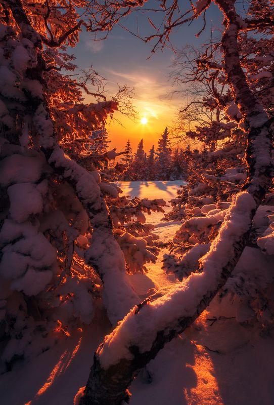В сказку