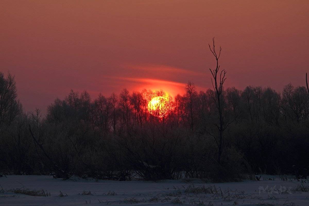 пейзаж февраль мороз солнце, Шангареев Марс
