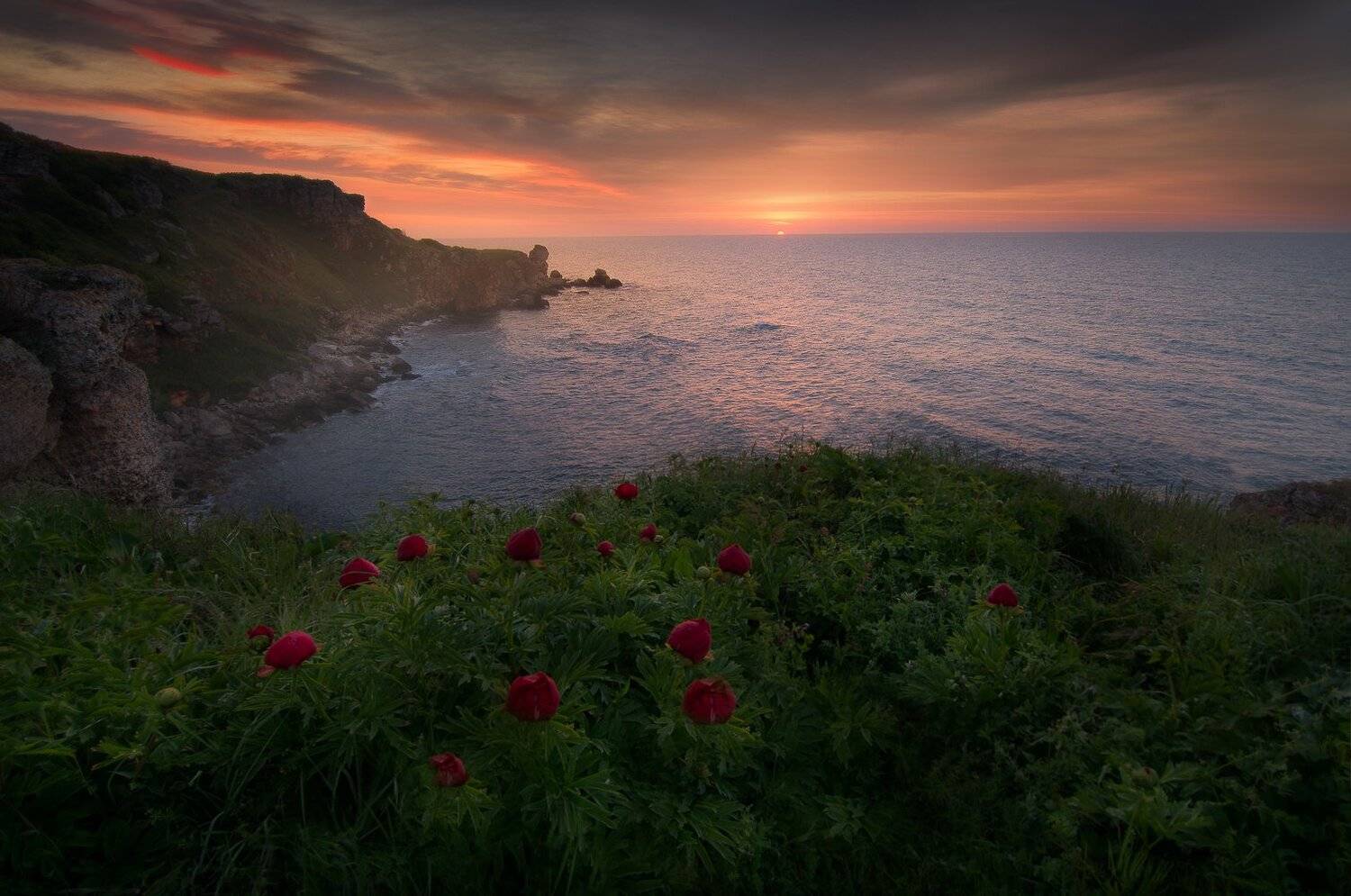 , Ivailo Bosev