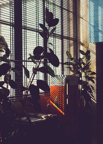 geometry of the mood