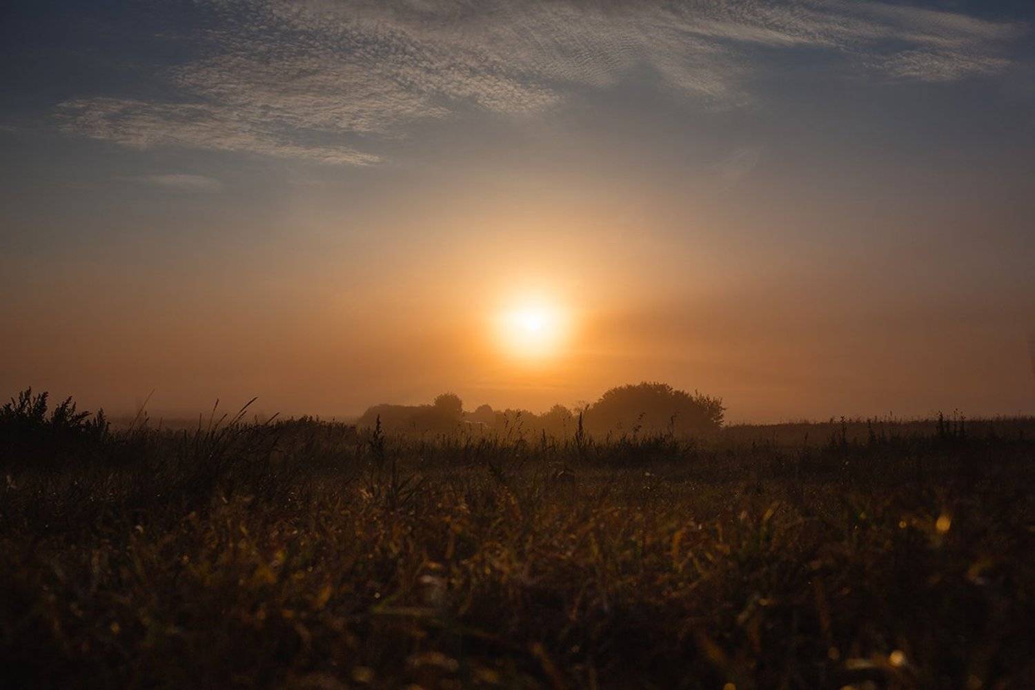 , Светлана Тимис