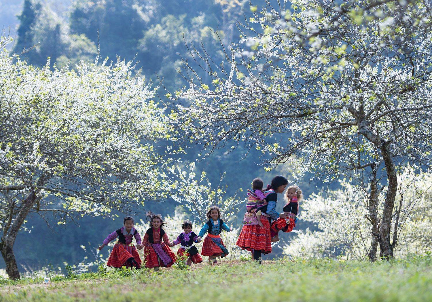 #Moc Chau#Viet Nam#Tet#Mong people, Cong Pham Chi