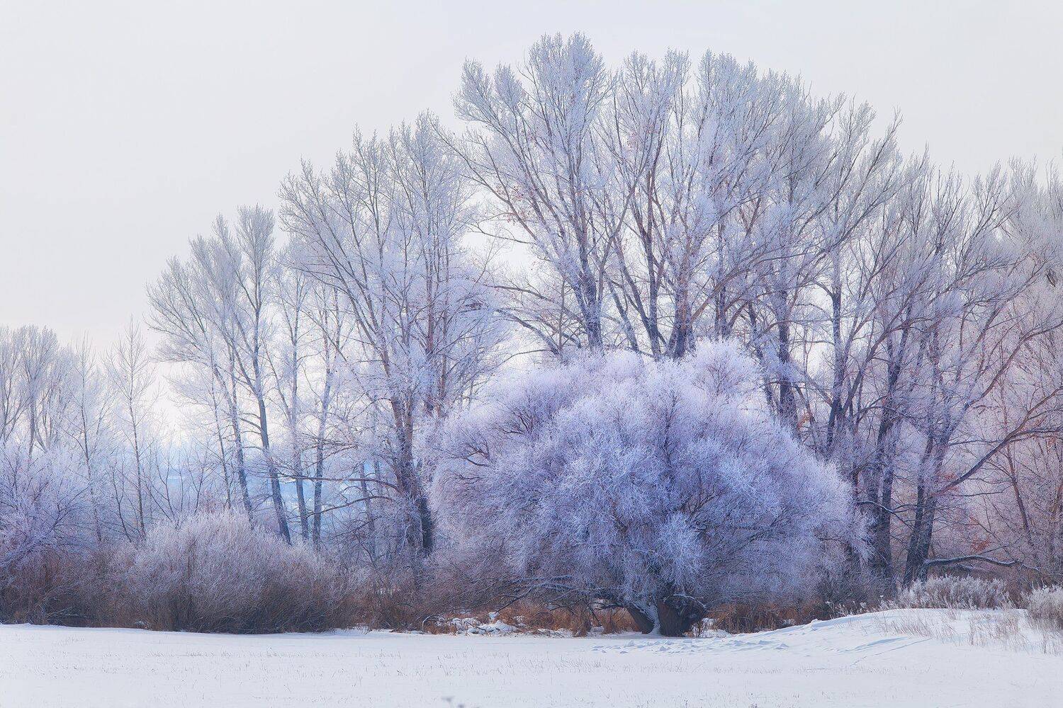 , Павел Сагайдак