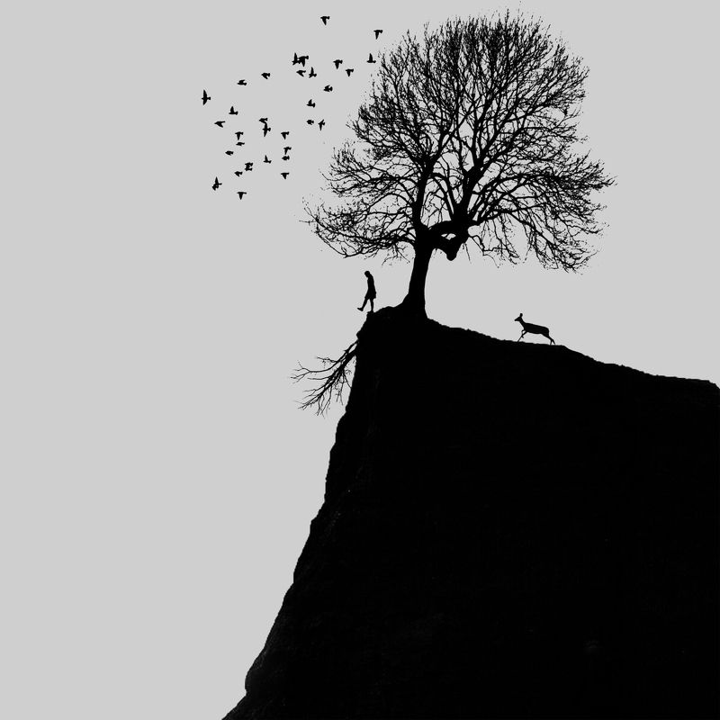 Stop фото превью