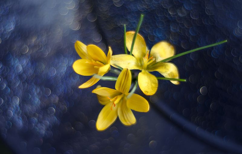 Космос. фото превью