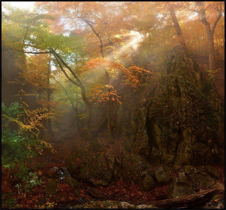 , Владимир Метцгер