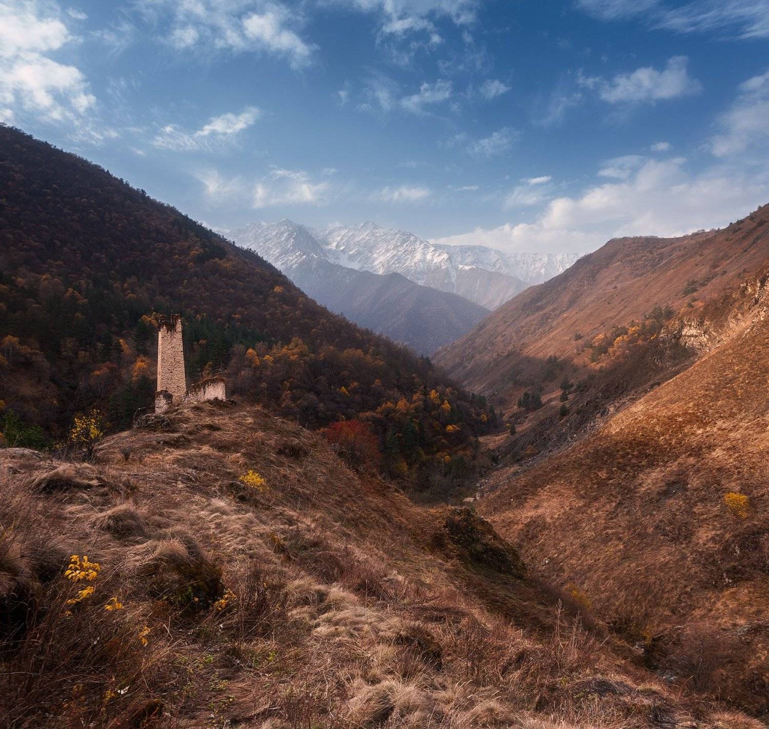 , Сергей Сутковой