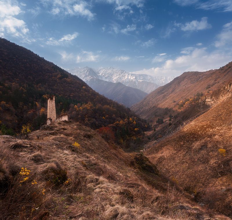 Цори, Заповеник «Эрзи», Ингушетия  фото превью