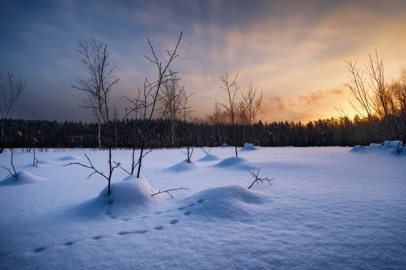 россия, московская область, щепкино болото, болото, восход солнца, рассвет, сумерки, лес, зима, пруд, пейзаж, природа Морозное утро фото превью