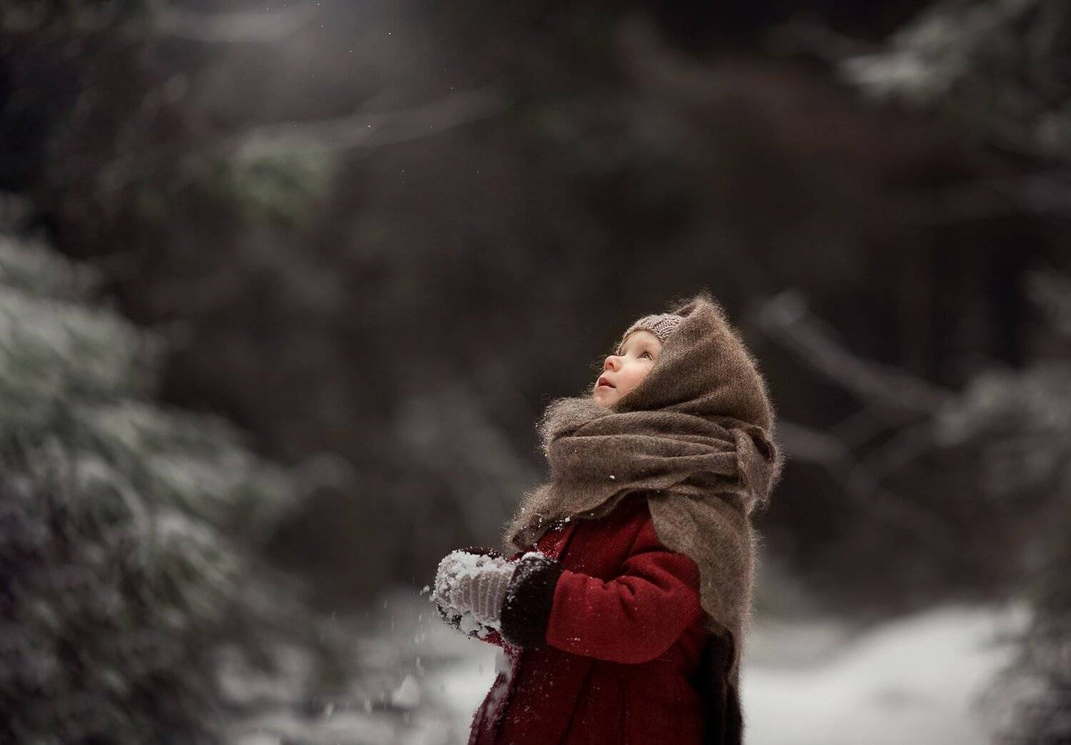 , Елена Силина