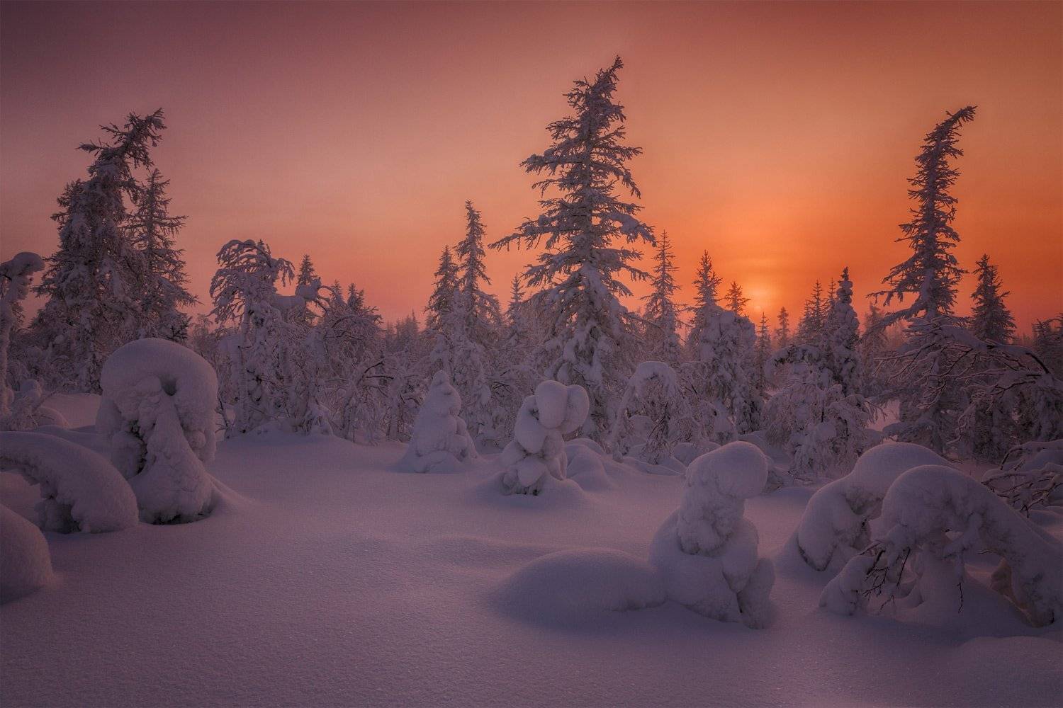 , Евгений Кужилев