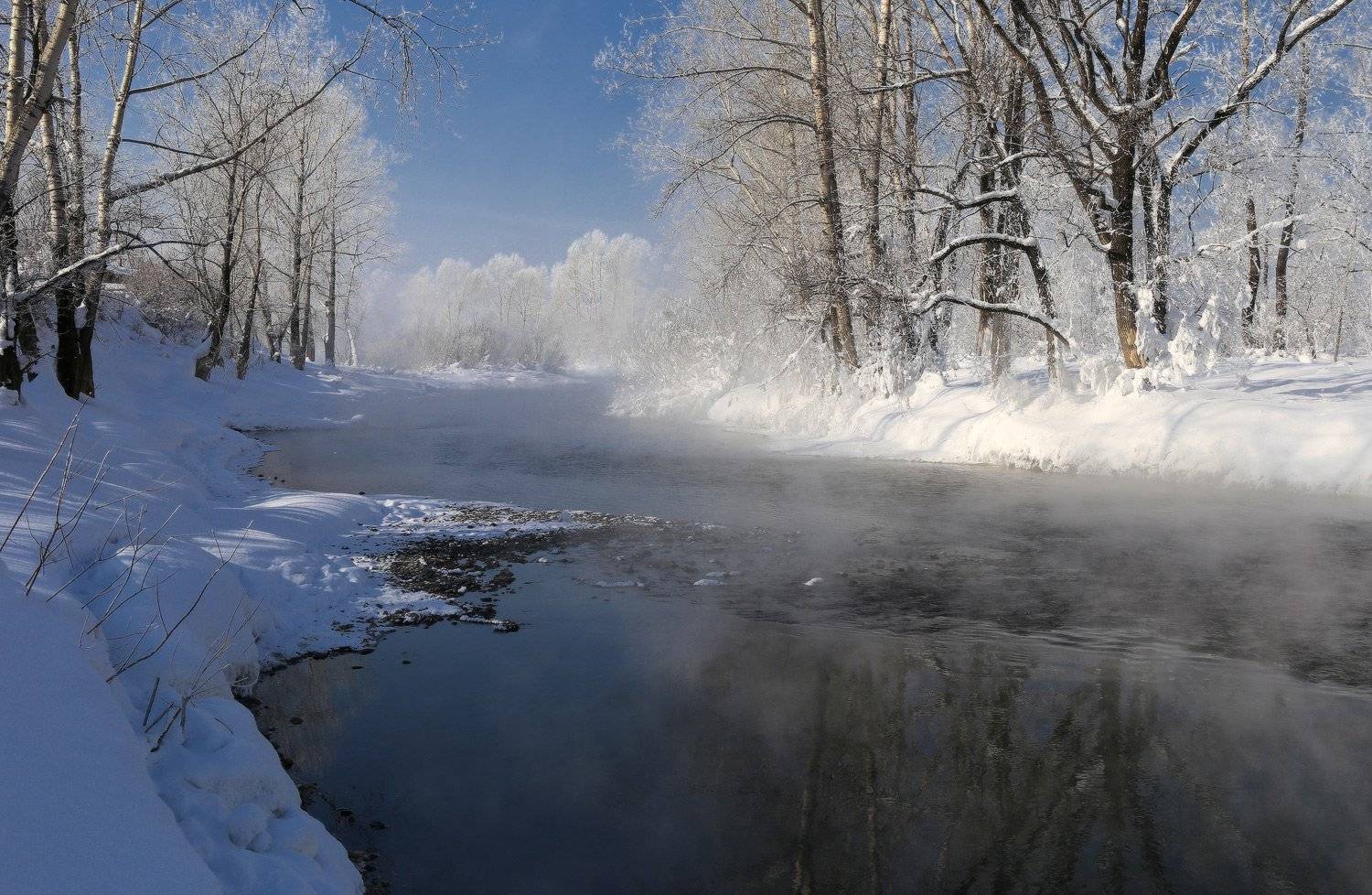 , Галина Хвостенко