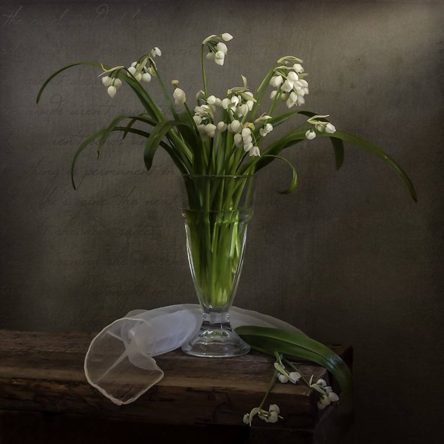 натюрморт, цветы, still life, Оля