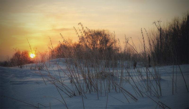 Февраль. фото превью