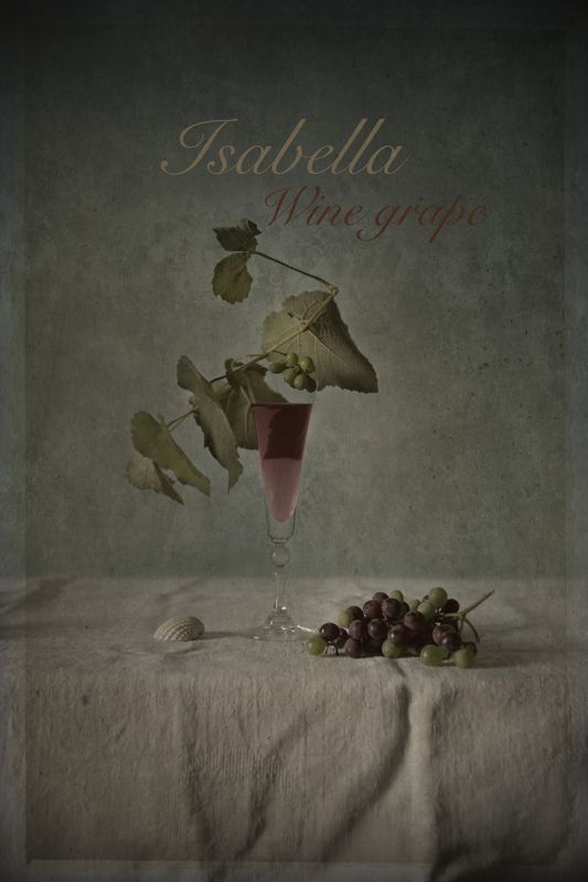 Isabella фото превью