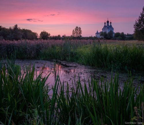 Вечер в Тайнинском