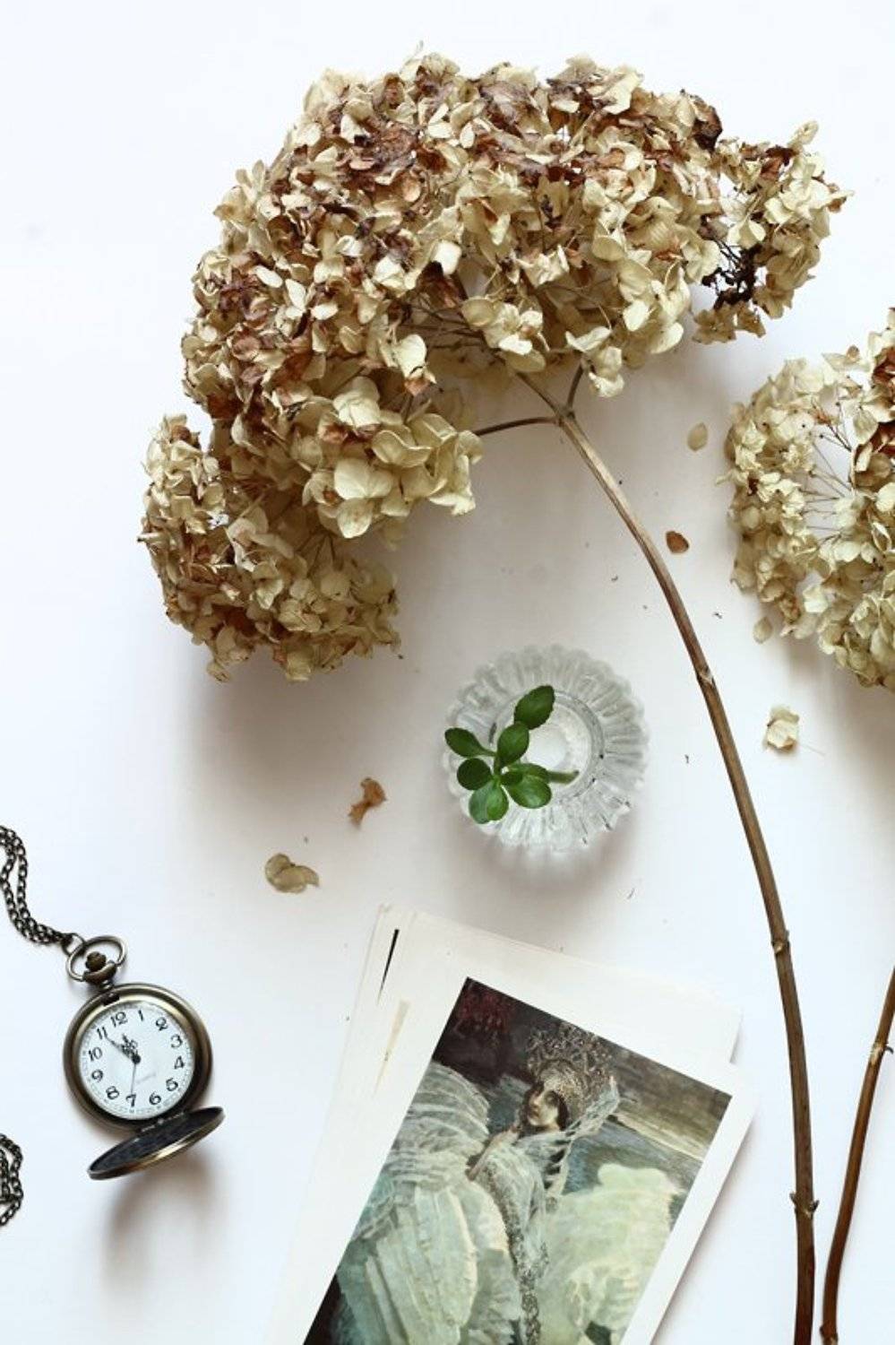 натюрморт, зима, февраль, Курочкина Диана