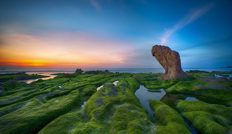 #Co Thach#Binh Thua#Viet Nam#Moss season Co Thach moss season фото превью