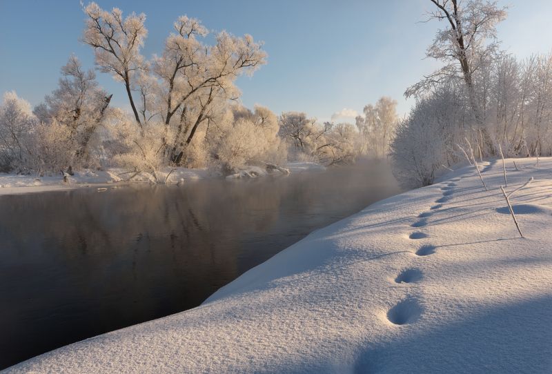 Блестя на солнце, снег лежит фото превью