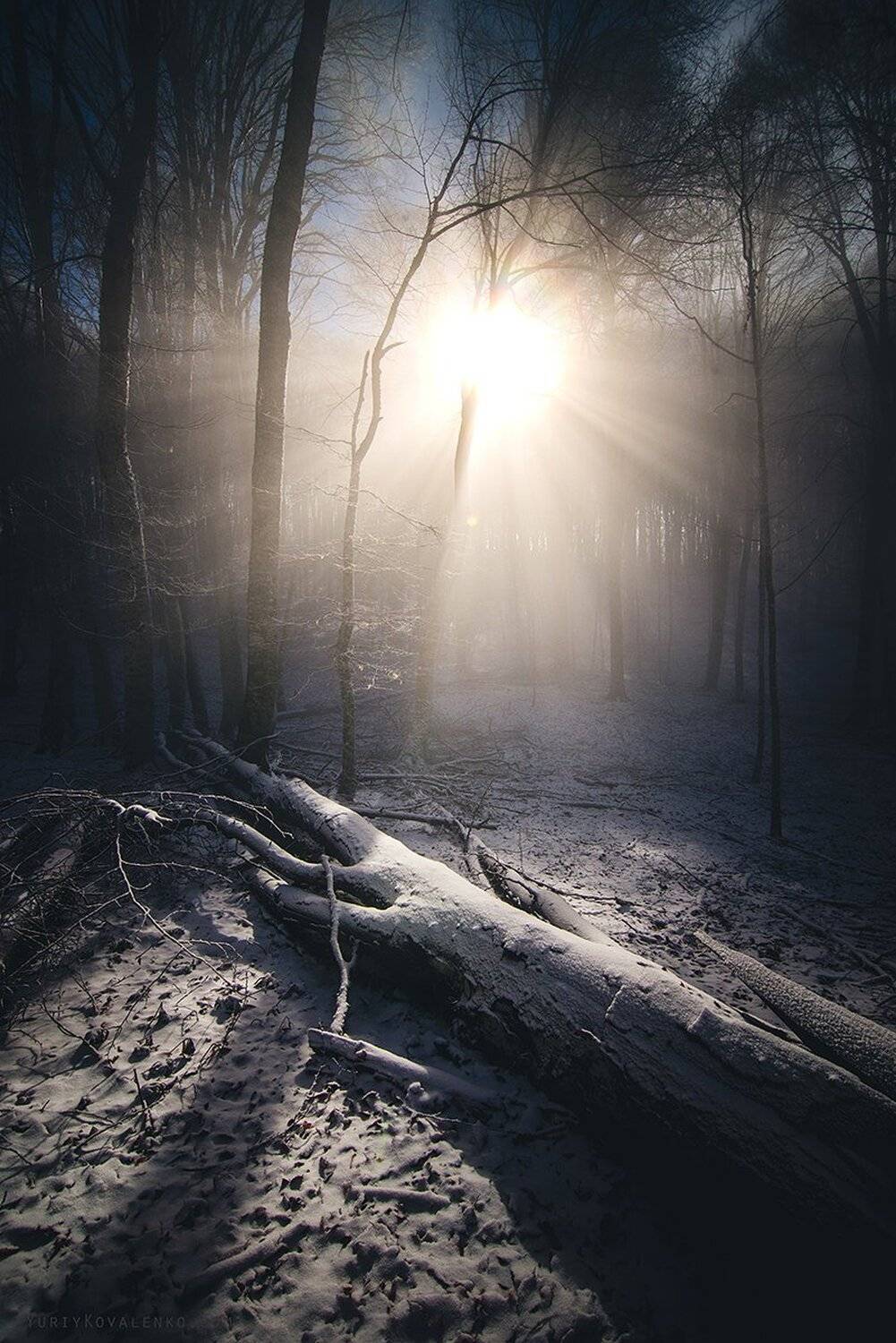 , Юрий Коваленко