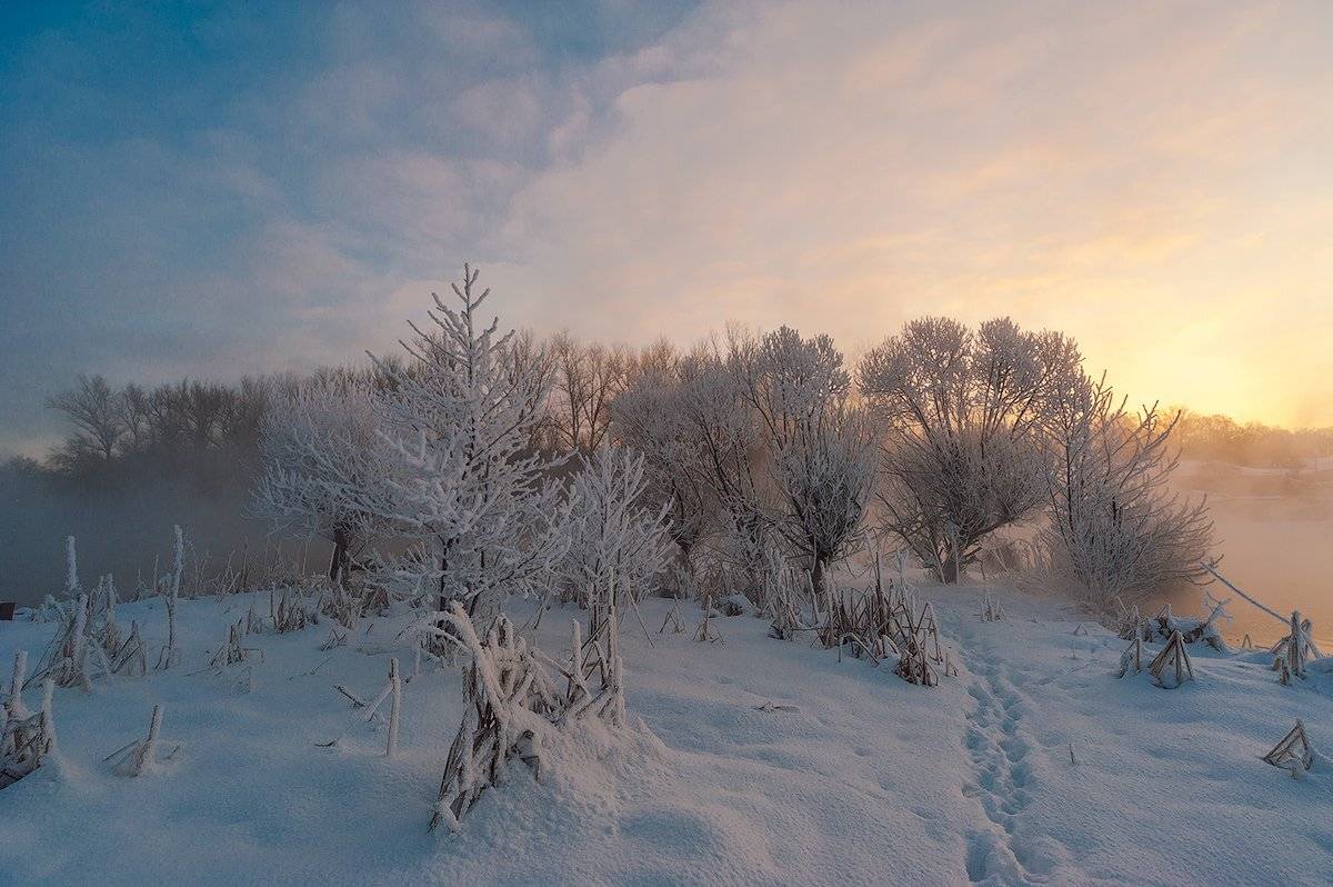 , Олег Логунов