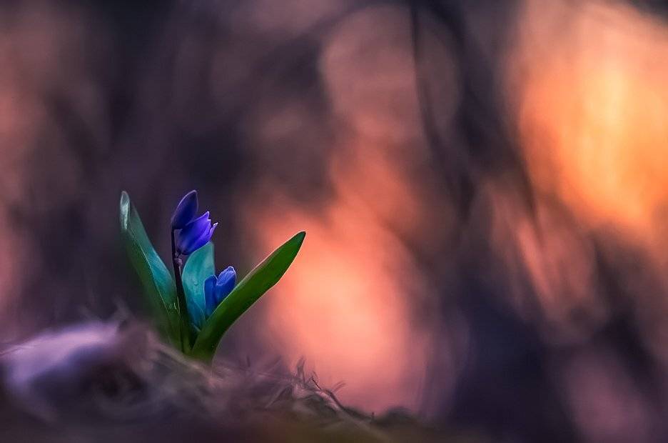 , Вячеслав Мищенко