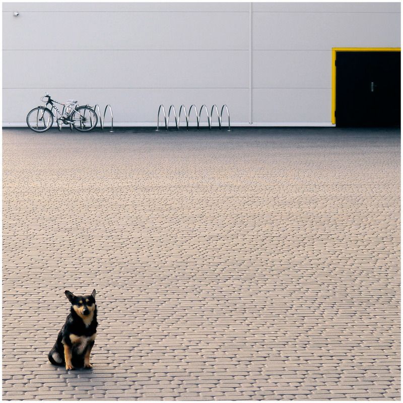 abstract city Abstract city фото превью