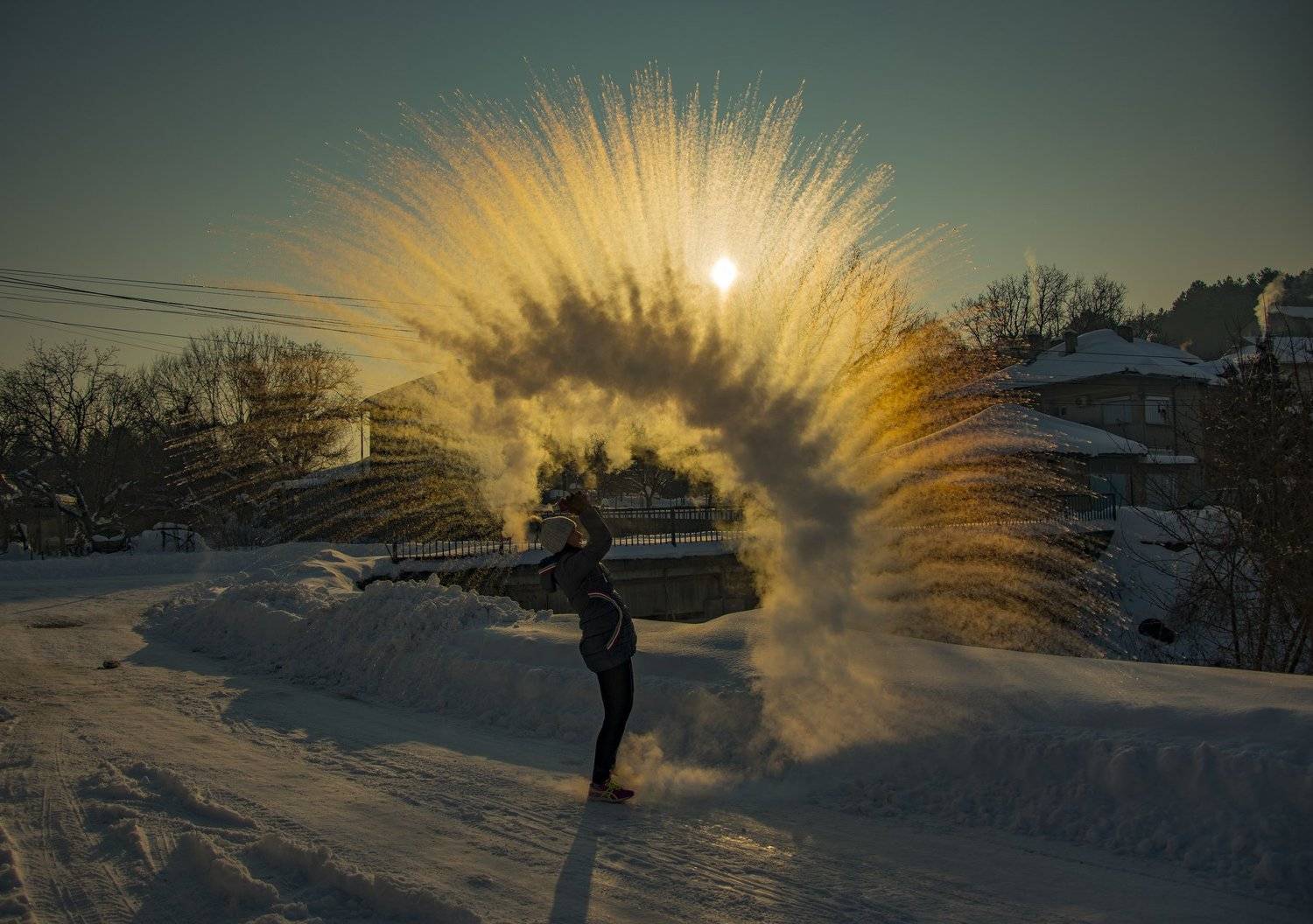 ceclii, nikon d3400, Tsvetan Ganev