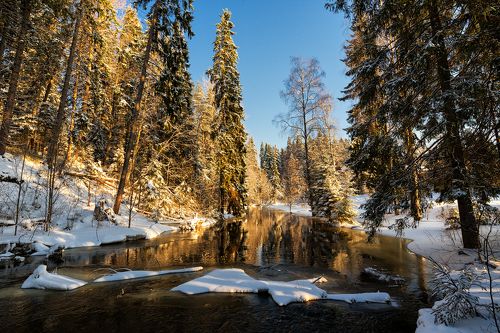 Февральский солнечный денек...