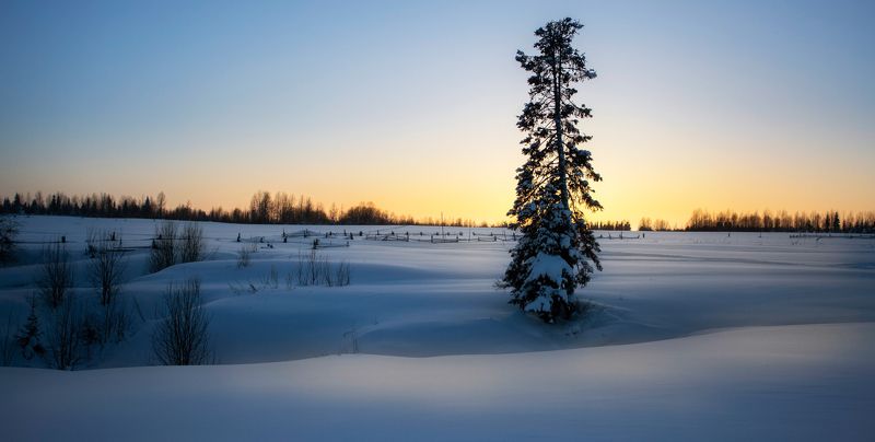 На краю поля. фото превью