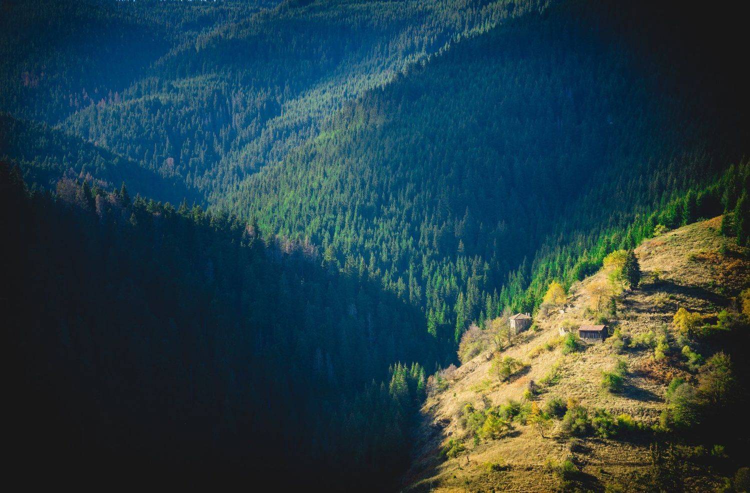 sony a6000, Tihomir Petkov