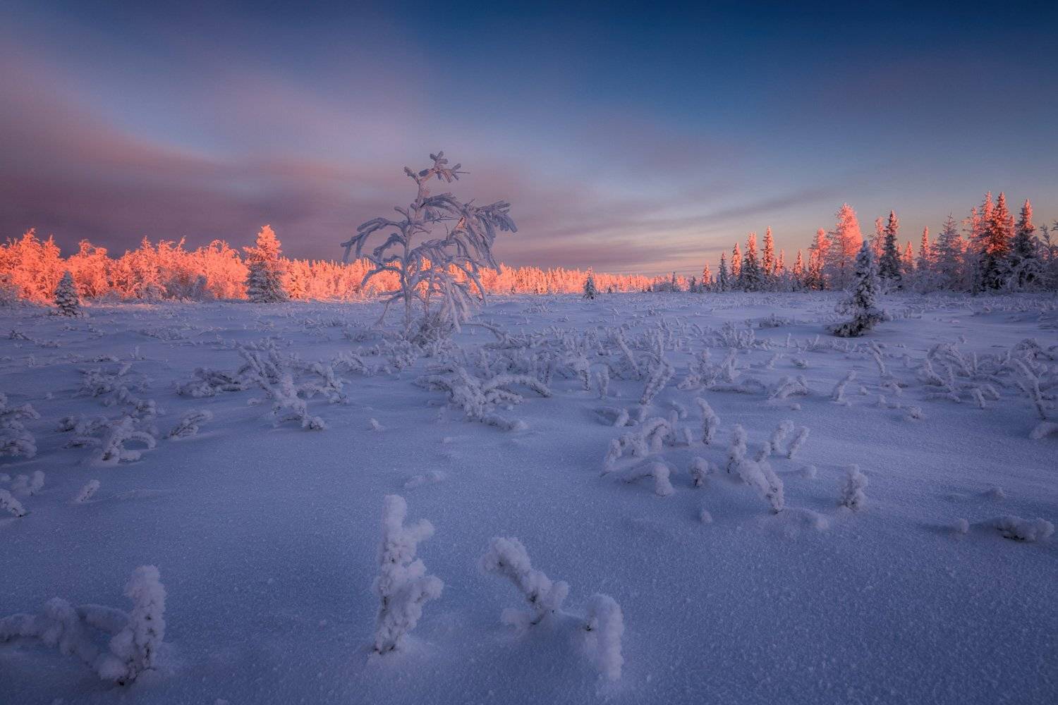 , Евгений Кужилев