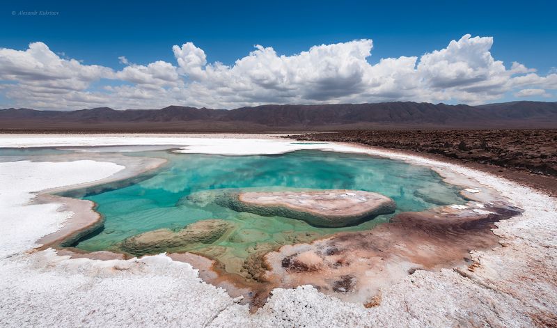 пейзаж, чили, атакама Соль Земли... фото превью