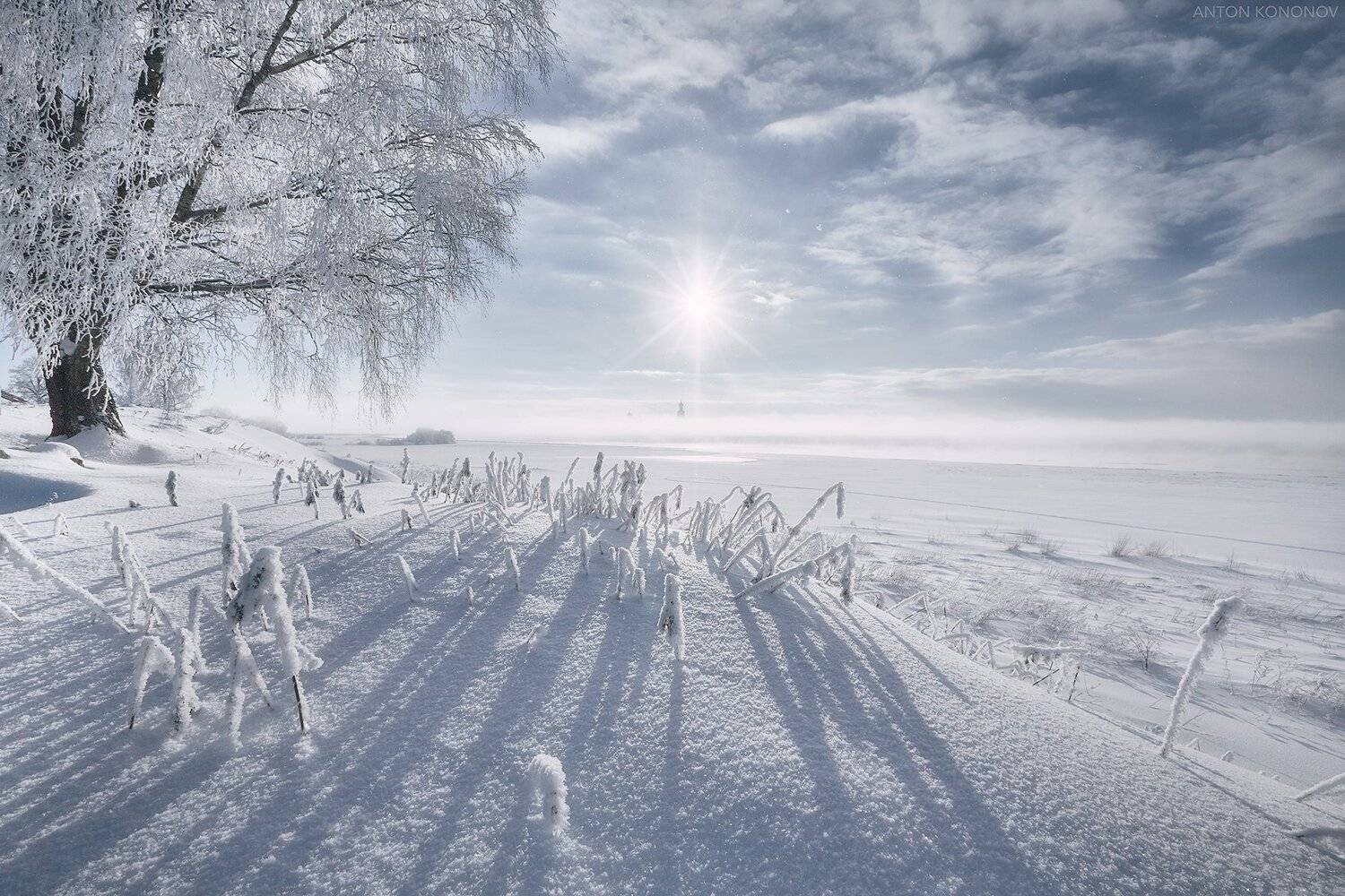 великий, новгород, Антон Кононов