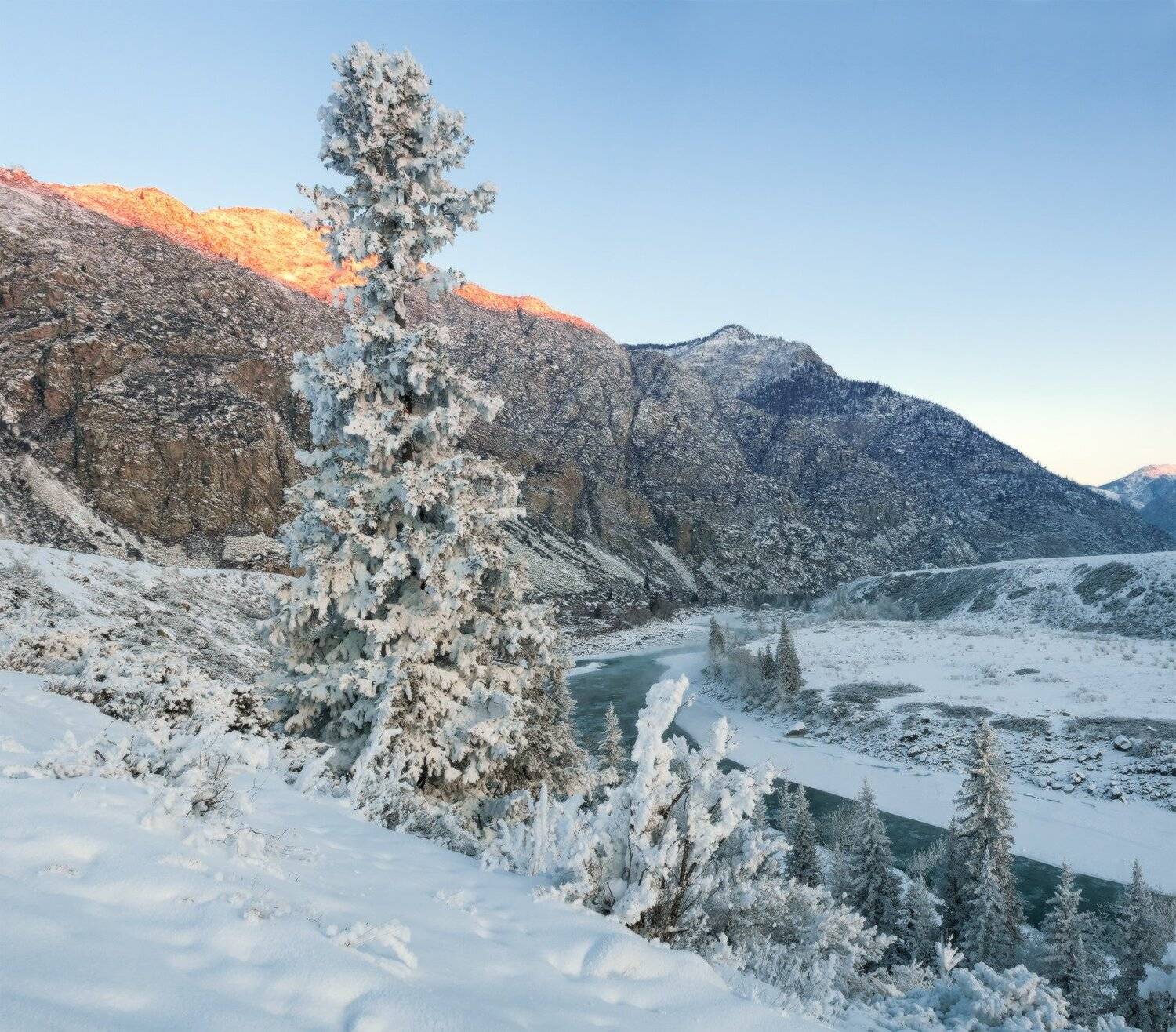 , Лещёнок Александр