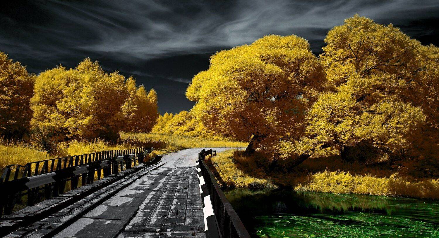 , Sixten ( Сергей )