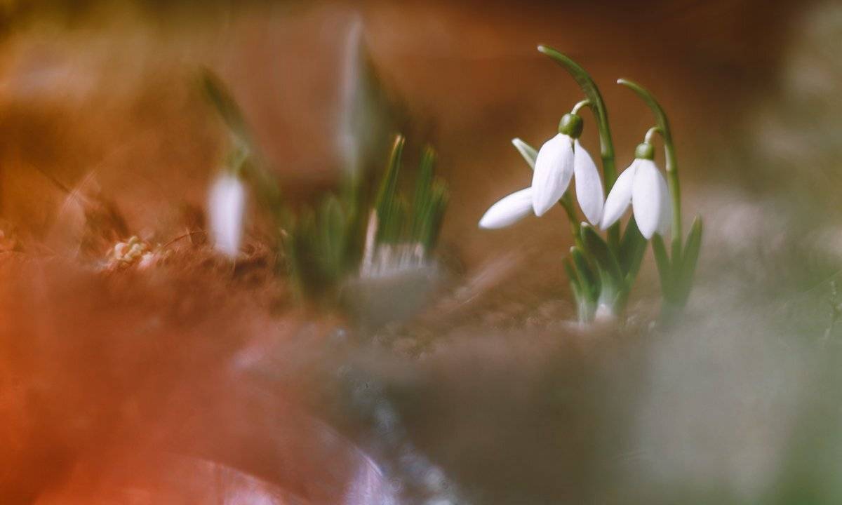 , Татьяна Аверина