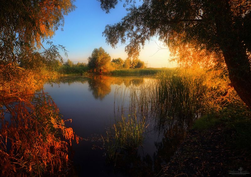 Окно в природу фото превью